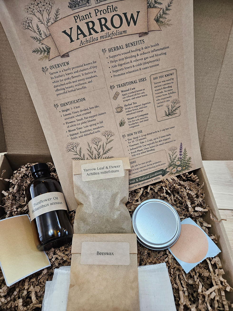 Thumbnail: The Herbal Schoolhouse Yarrow Subscription Box for June