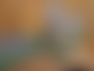 How to Start Learning Herbalism (Without Getting Overwhelmed)