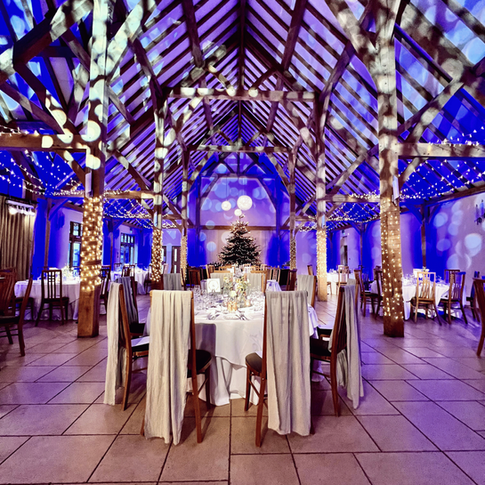 Christmas Fairylights and Uplights