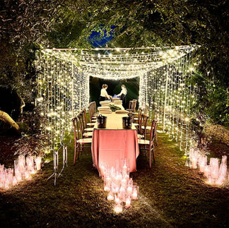 Fairylight Hire - External Canopy