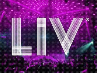 Miami Beach Nightlife- Things to do in Miami