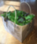 Thumbnail: Hot & Peppery Babyleaf Salad