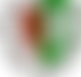 Vorstandswahlen des Bürgervereins im Februar 2025