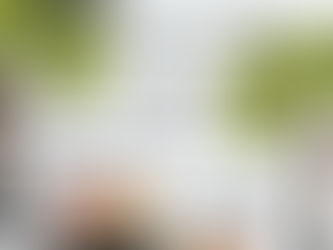 Mitbring-Picknick unter den Linden am 24.08.2024