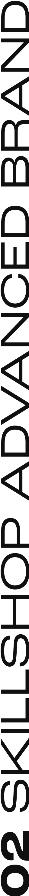 02 SKILLSHOP ADVANCED BRAND.png