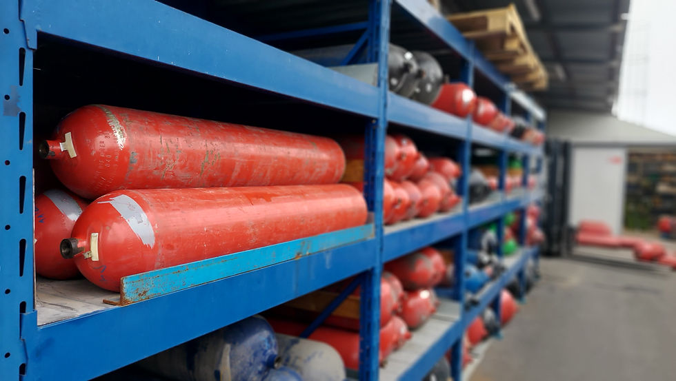 2022-01-25 16.10.04.jpg