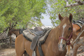 production services cayman islands