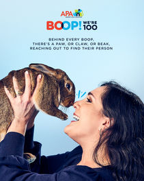 APA 22-1831 Boop 100-Launch1-Social-5_FB.jpg