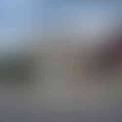 Little Fox pre-open window wraps