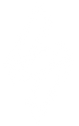 SF_degrade_white-13_edited.png