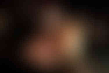 The Japanese Bitters