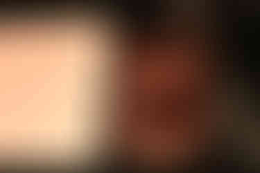 The Japanese Bitters