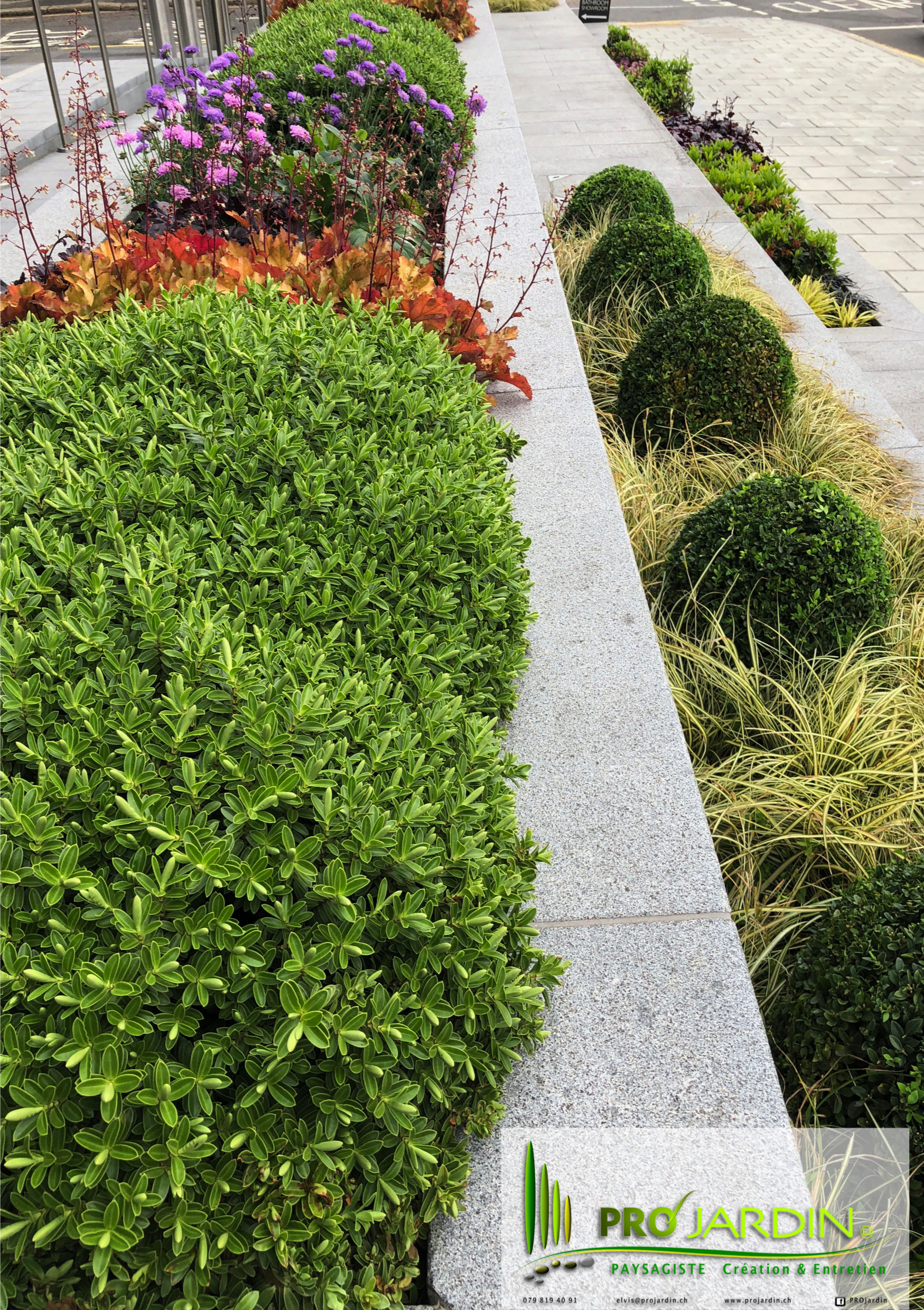 plantation zen plate-bandes