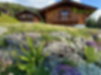 Rocaille style de montagne
