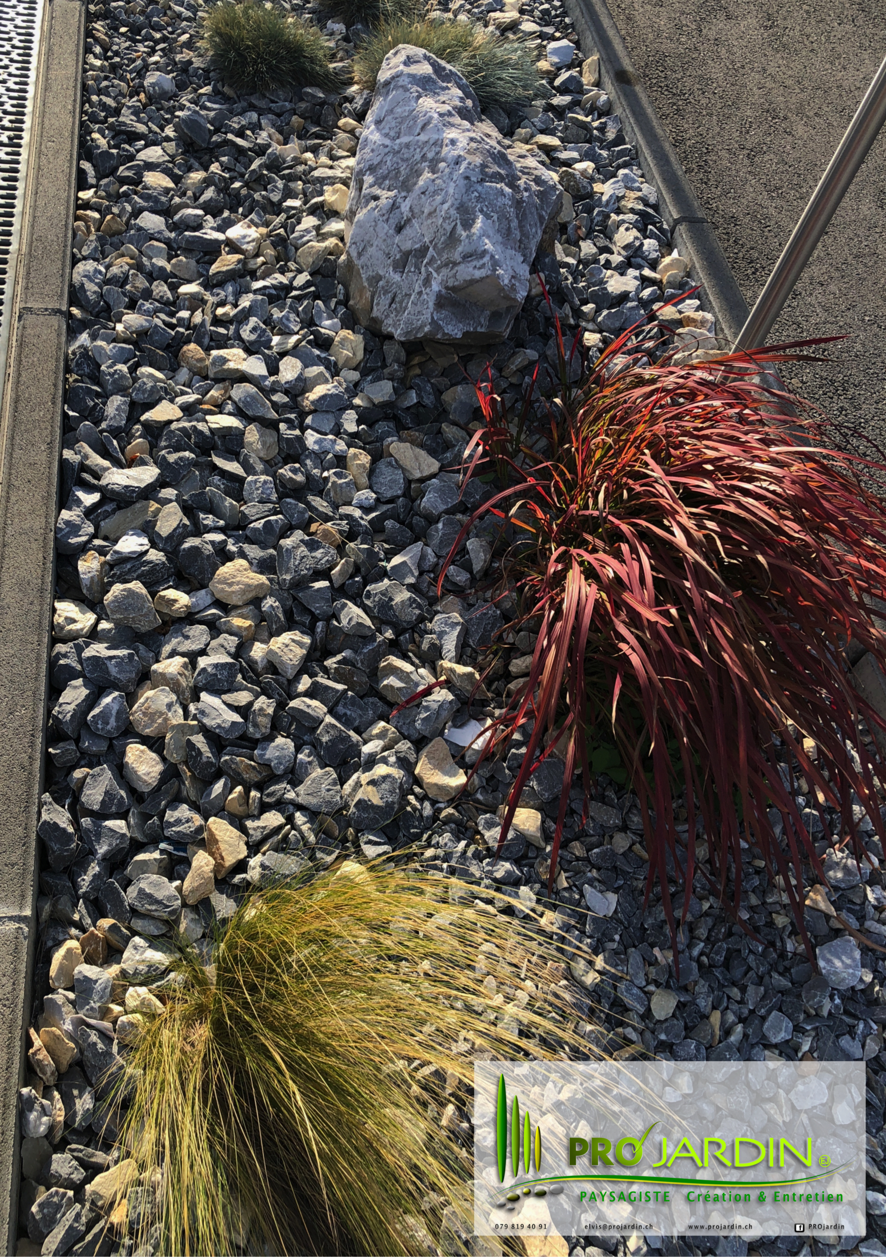 plate-bande zen _ herbes Carex et Cordyl
