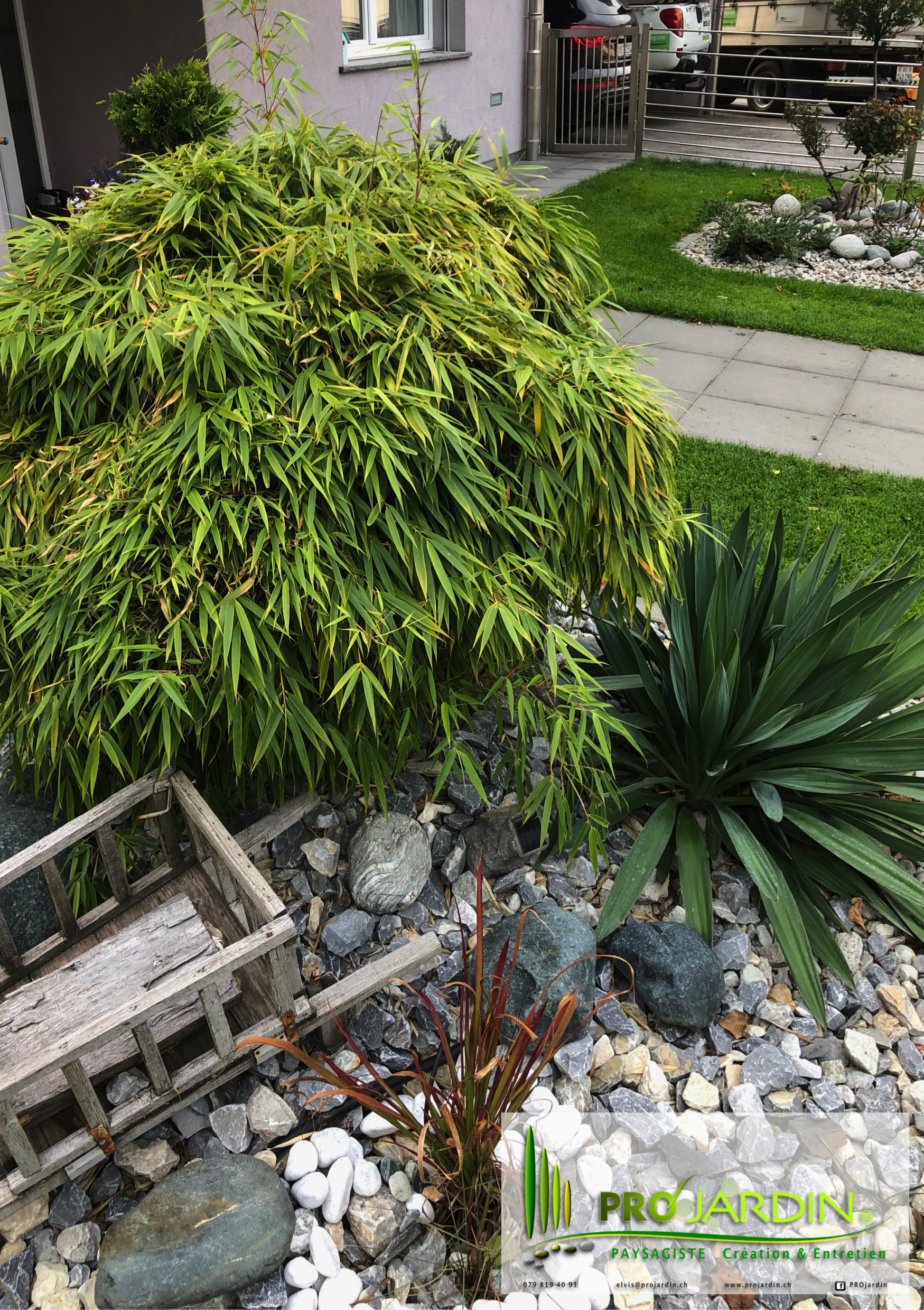massif zen _ Yucca _ Bambous nain