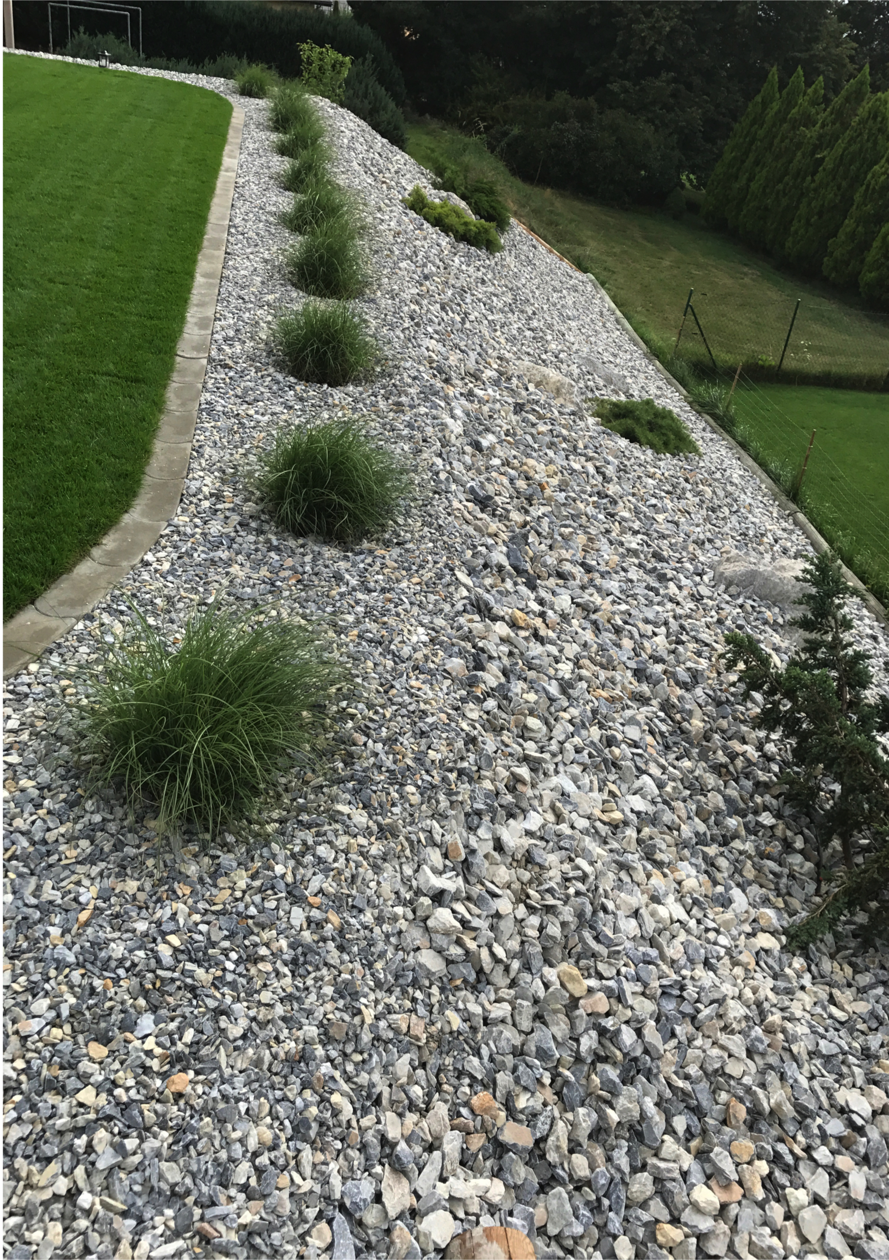 Haie_d'herbes_graminées___Grône_2017__PROjardin_Aménagement_extérieur