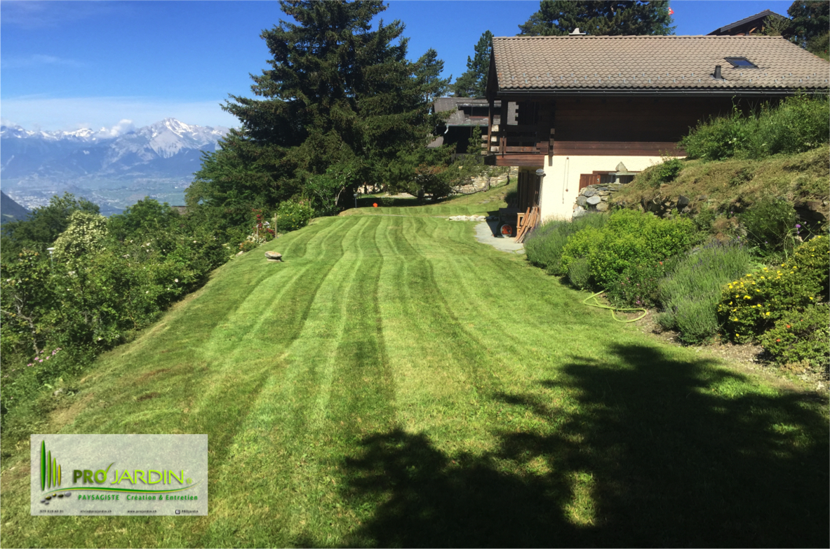 Jardin au chalet d'vacance