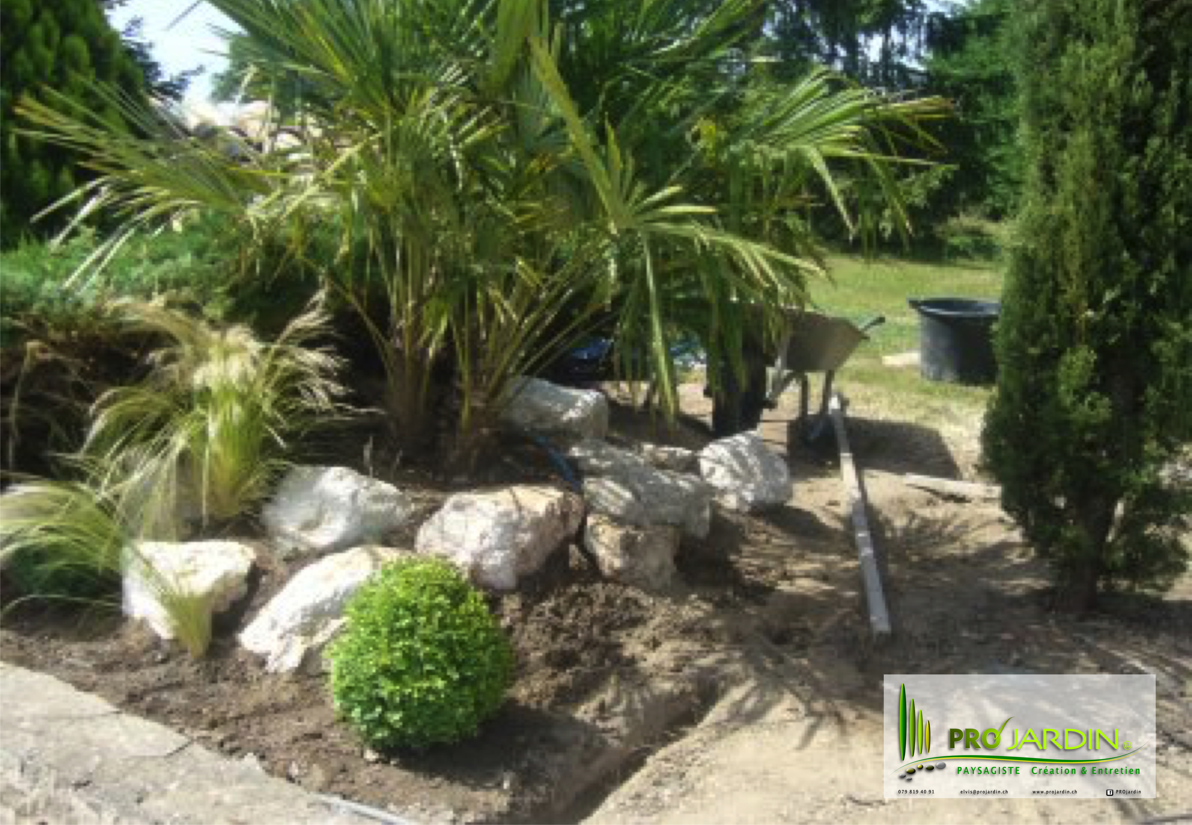 Plantation_des_palmiers_Traveaux_paysagèrs_Maçonneries__PROjardin_Paysagiste_créations_&_enretiensn_