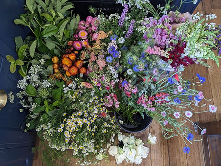 flowers-bulk.jpg