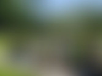 Teilnehmerinnen von „Heldinnen in Bewegung“ nutzen die gemeinsame Bewegung im Freien für Austausch und Vernetzung.