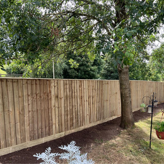 Wooden Fencing providing full privacy for a residential backyard