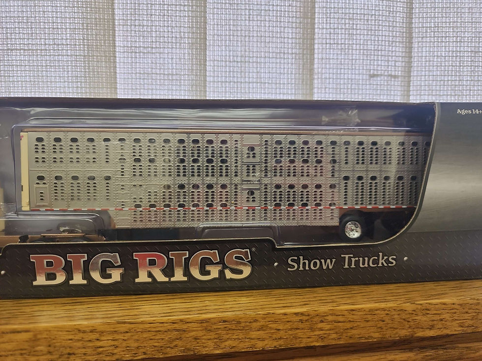 Thumbnail: 1:64 Scale Big Rigs #13: Paradise Trucking "Truckin for Tacos"