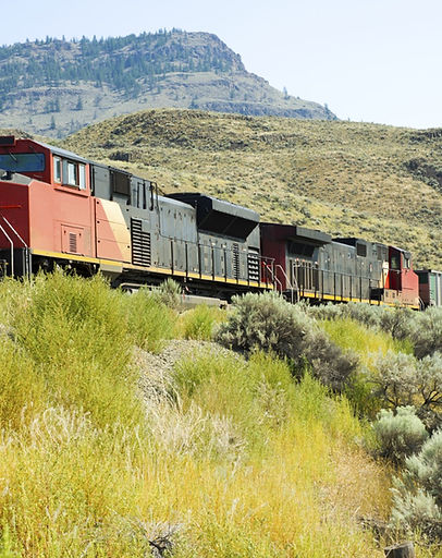 shutterstock_117790777 (Large).jpg