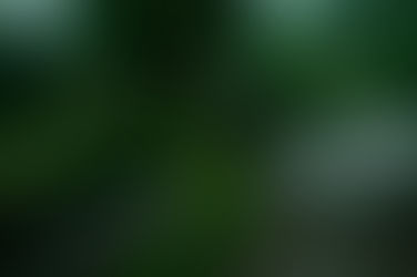 公式ホームページを新しく公開しました