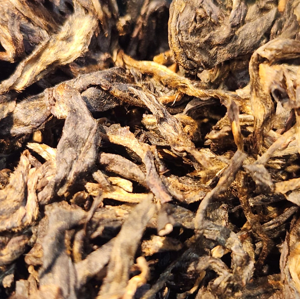 Miniature : Pu-erh sheng L'Île de Glace. Année 2015 - Vieux théier Gushu.