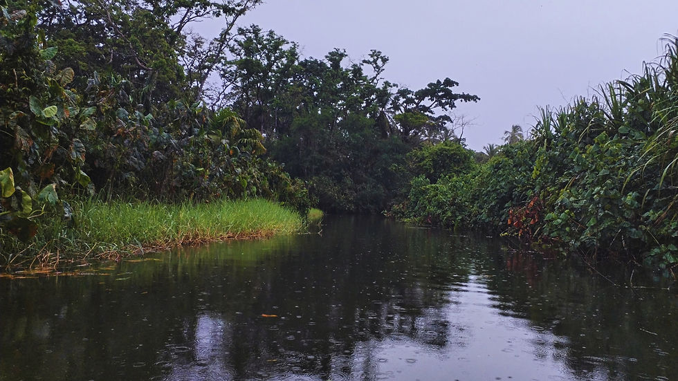Lagoon