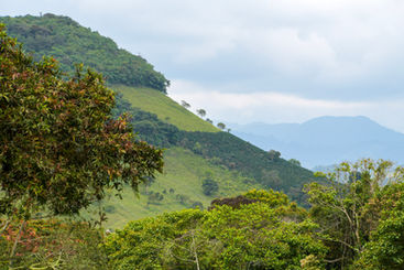 Landscape near Parque Arqueológico Alto de los Ídolos, Colombia