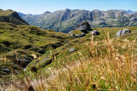 Granitfelsen in sanfter Alplandschaft beim Passo di Gana Negra, Bergkette mit Gletscher im Hintergrund
