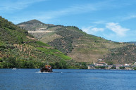 Ein Boot auf dem Douro mit Blick auf die Reben