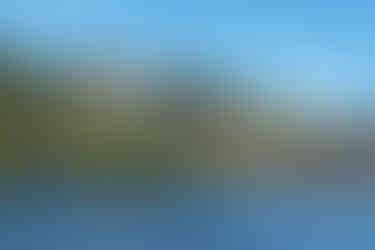 Ein Boot auf dem Douro mit Blick auf die Reben