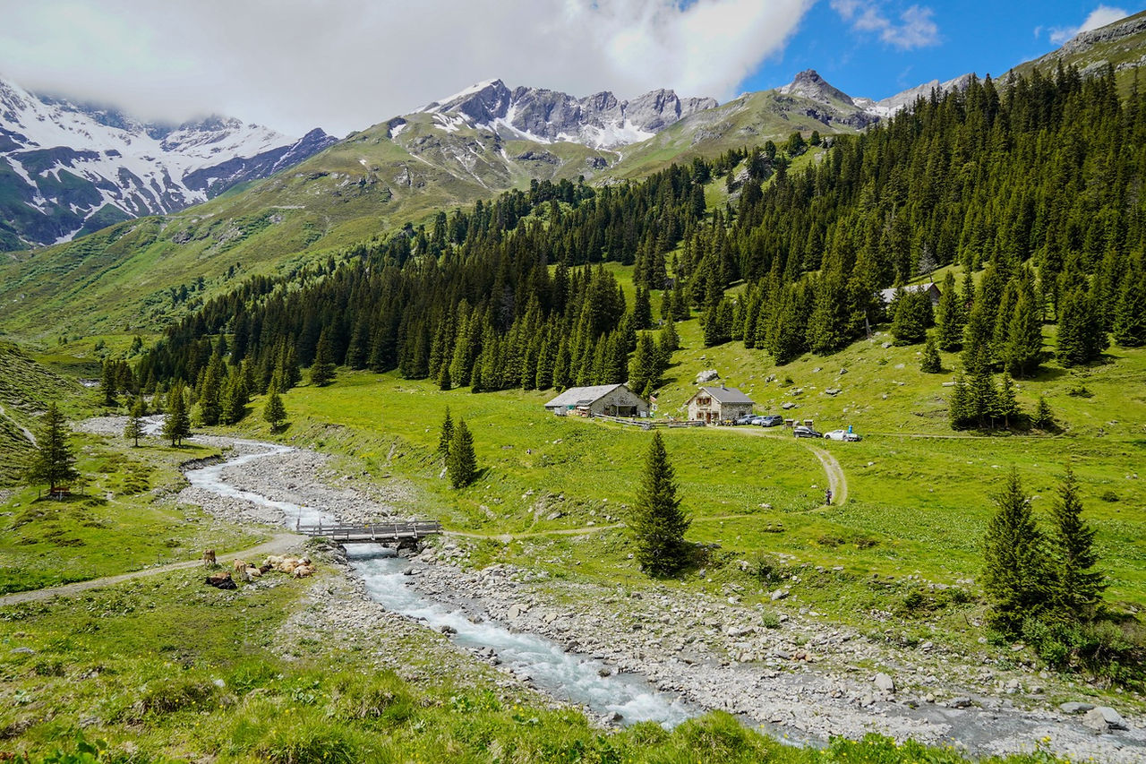 Weite Talansicht der Alp Sardona mit Gebirgsbach, Holzbrücke, Alphütten und Bergpanorama