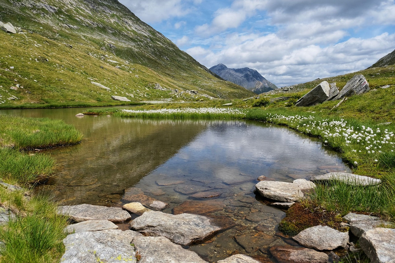 Kleiner Bergsee mit Wollgras und Wolkenspiegelung im Val Cadlimo