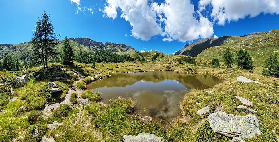 Idyllischer Bergtümpel mit Lärchen und Wolkenspiegelung auf dem Weg zur Bovarinahütte