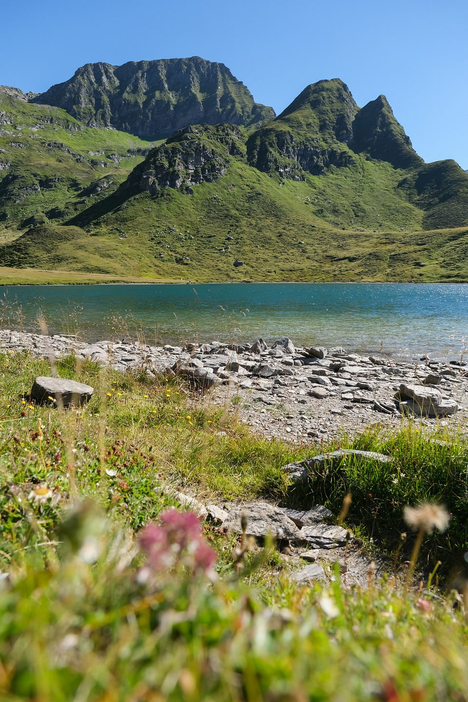 Lago di Tom mit Alpenblumen am Ufer und gezackter Felskette im Hintergrund