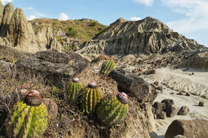 Tatacoa desert, Villavieja, Colombia