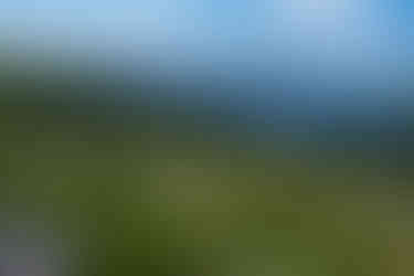 Wandern auf dem Walenpfad mit Blick auf die Berge