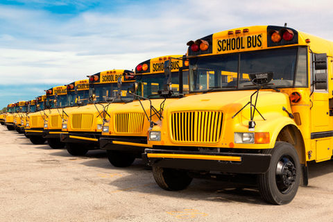Chester Elite Transportation