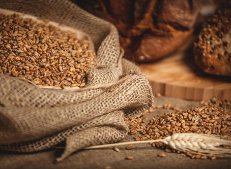 Magnesium in the Spotlight