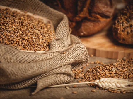 Magnesium in the Spotlight