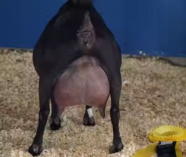 2023
