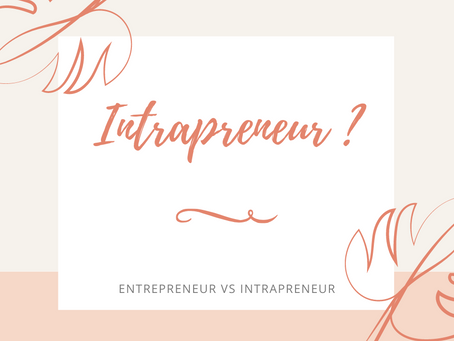 Entrepreneur vs intrapreneur