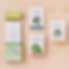 Houseplant Care Cards - Edition 2 displayed on a table
