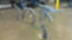 Dragon after Stripping