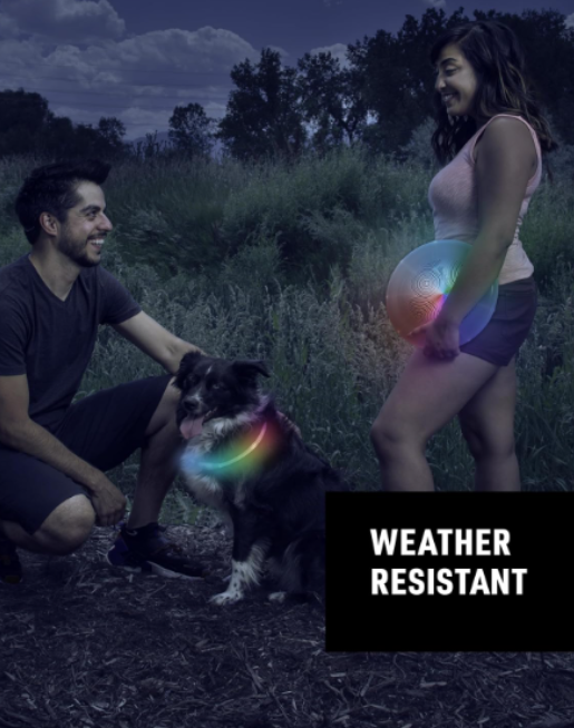 Thumbnail: NiteHowl LED Safety Necklace shown on a dog while out at dusk with with humans
