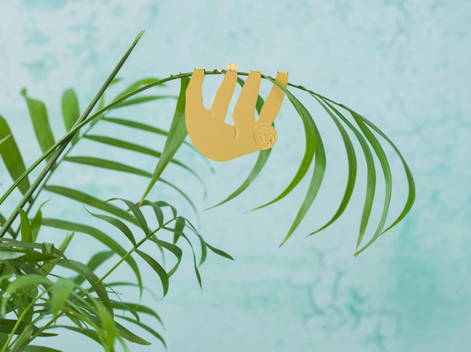 Thumbnail: Sloth charm in a plant